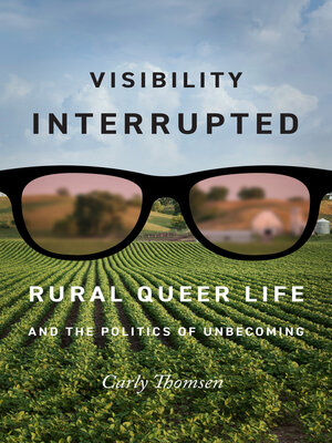 cover image of Visibility Interrupted